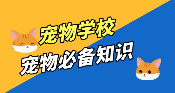 宜宾宠物学校一般要什么学历-宜宾宠物学校学历要求