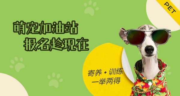 资阳宠物学校招生简章-资阳宠物学校招生简章