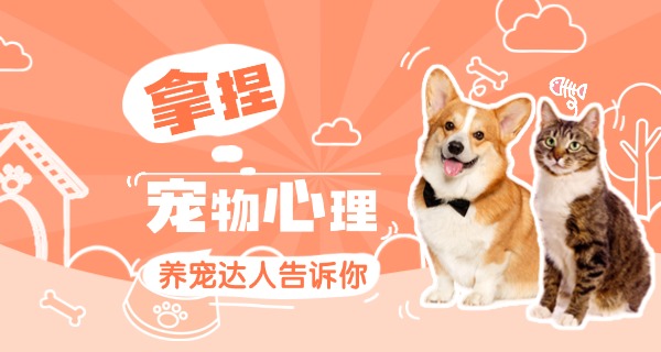 鹤岗宠物狗学校在哪里-鹤岗宠物狗学校在哪里？