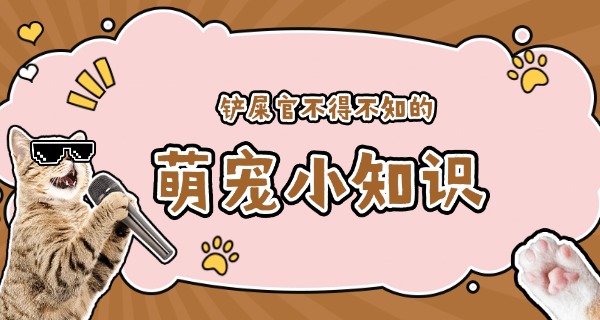 随州有没有宠物培训机构-随州宠物培训机构