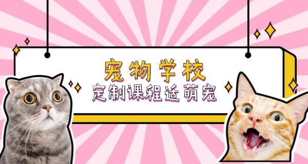 吕梁宠物培训班-吕梁宠物培训