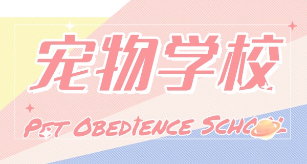 宣城宠物训练中心-宣城宠物训练中心