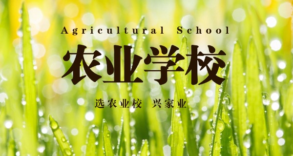 佳木斯农校家属楼地址-佳木斯农校家属楼地址